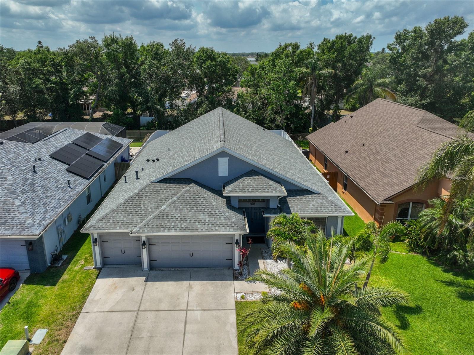 Check out the top of that large palm out front!