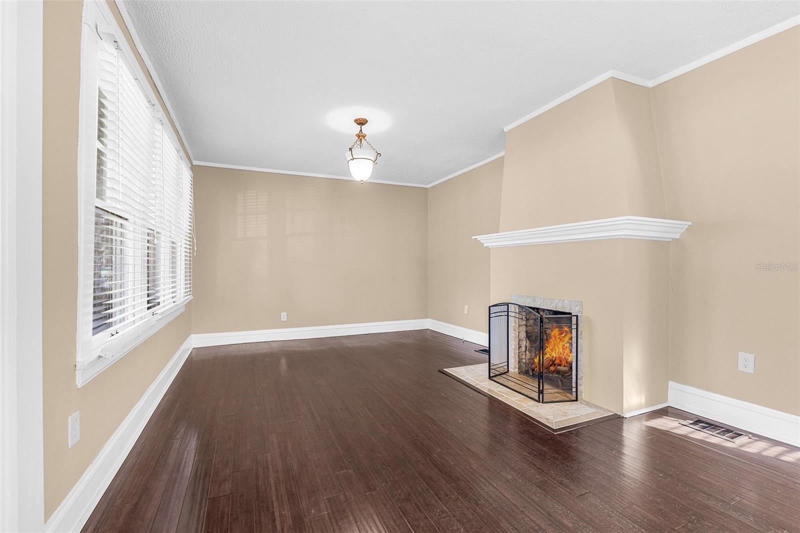Cozy Fireplace