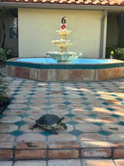 Just a turtle...