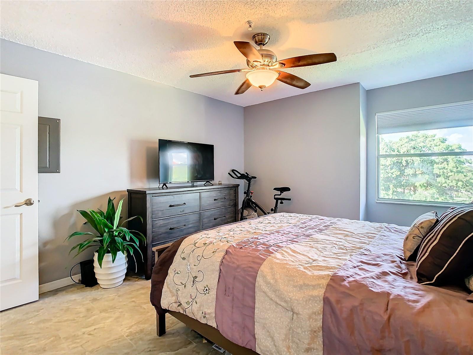 Wonderful natural lighting in Bedroom.