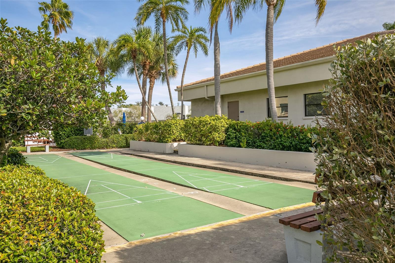 Shuffleboard Courts