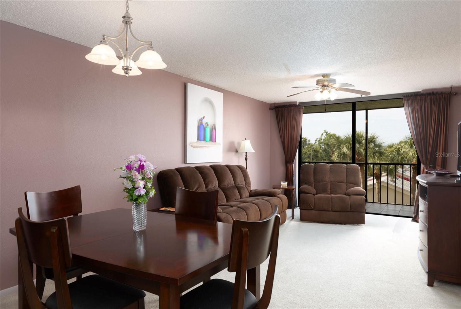 Dining/Living Area