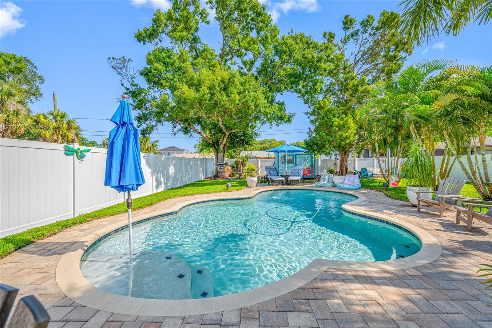 Gorgeous salt water pool!