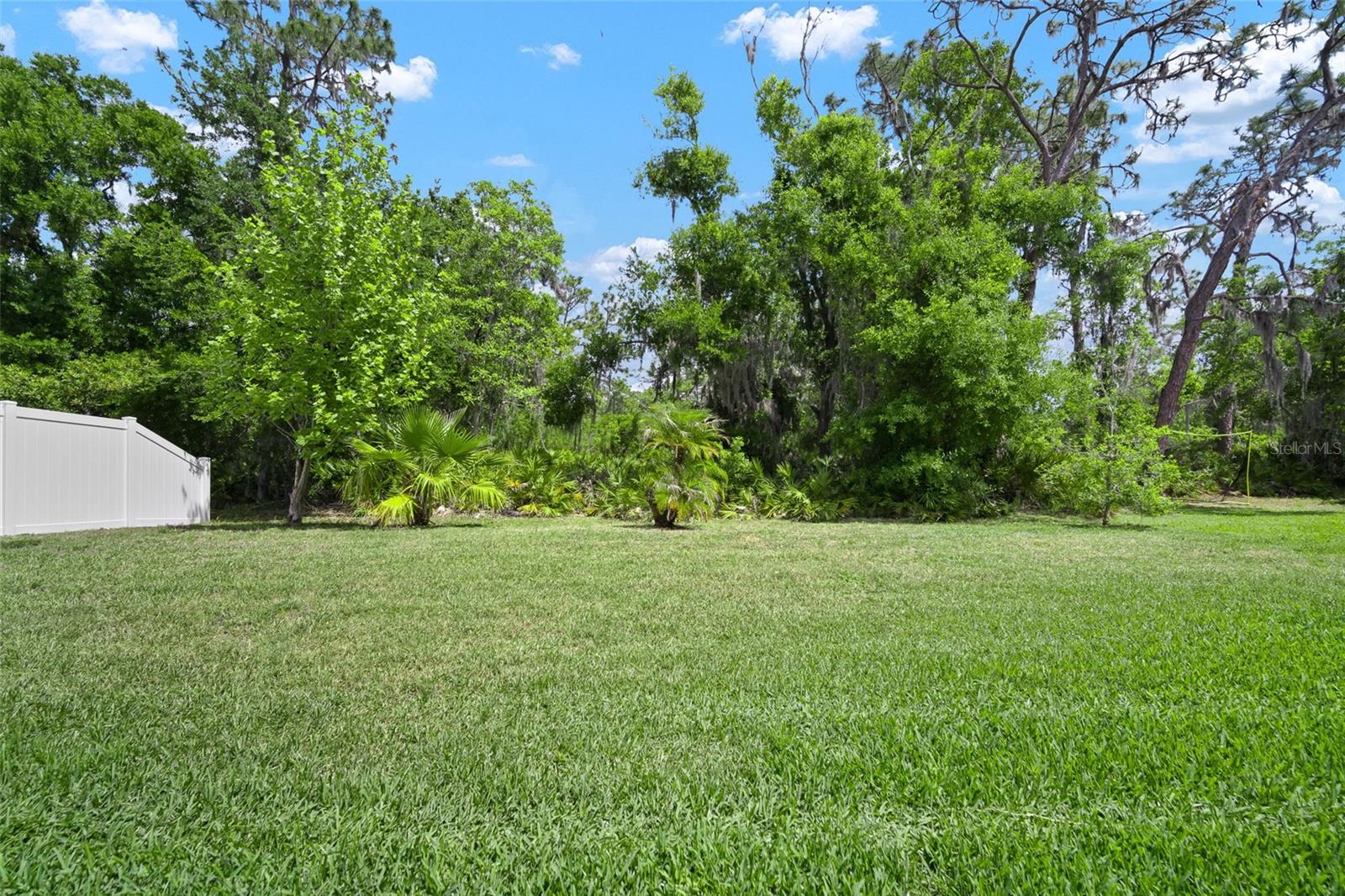 Backyard backing up to Triple Creek Nature Preserve