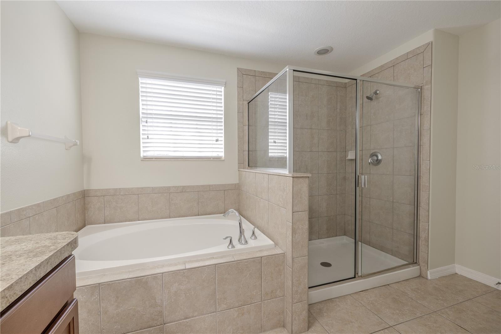 Primary bathroom features a garden soaking tub and a separate glass enclosed walk-in shower.