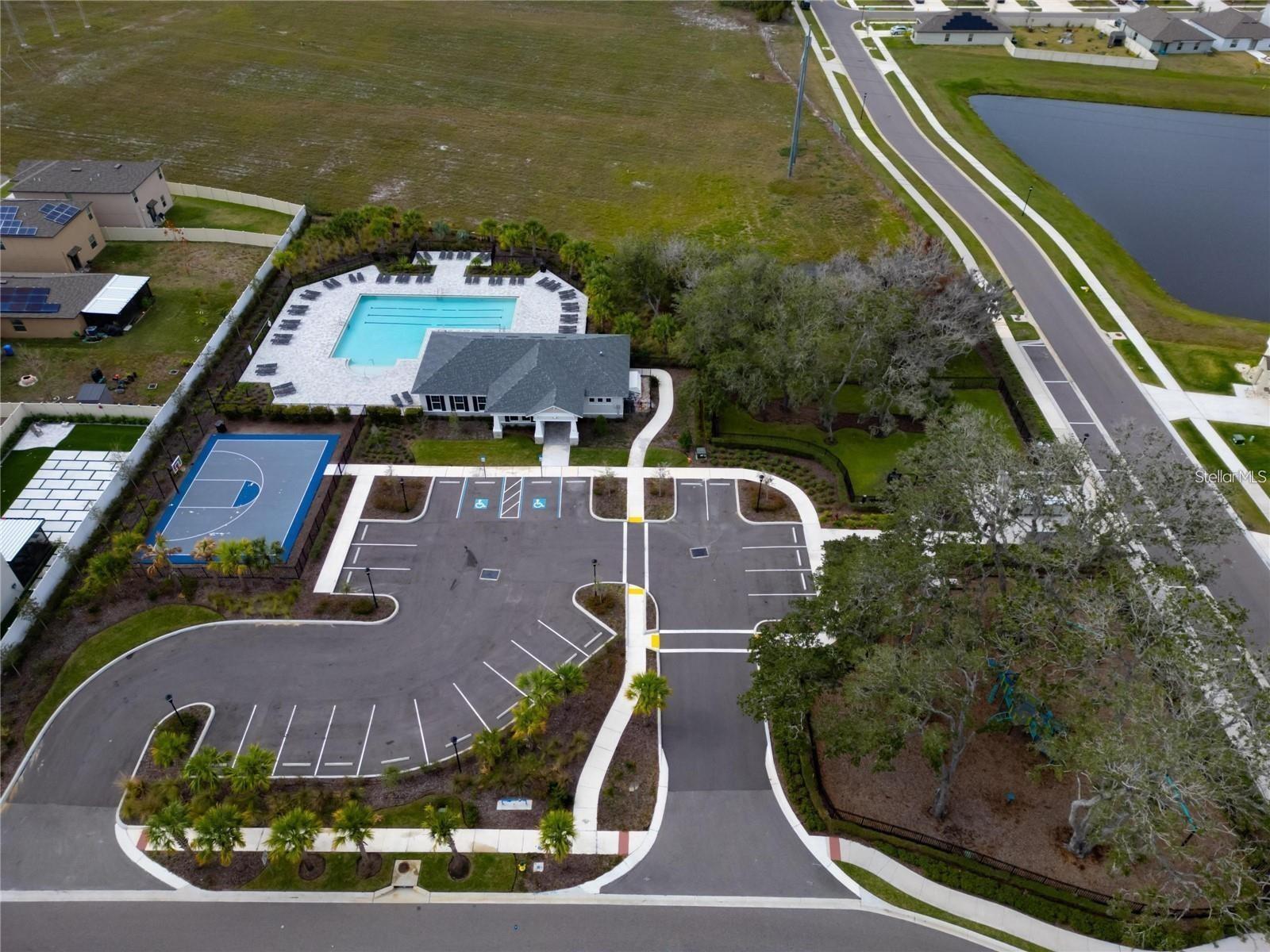 BASKET BALL COURT