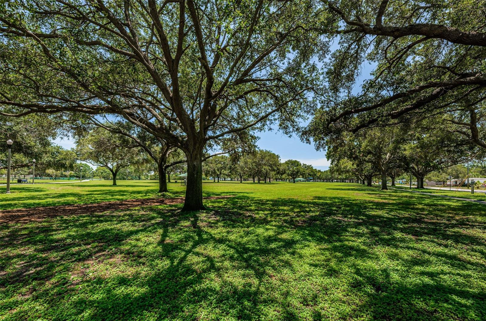 Walter Fuller Park