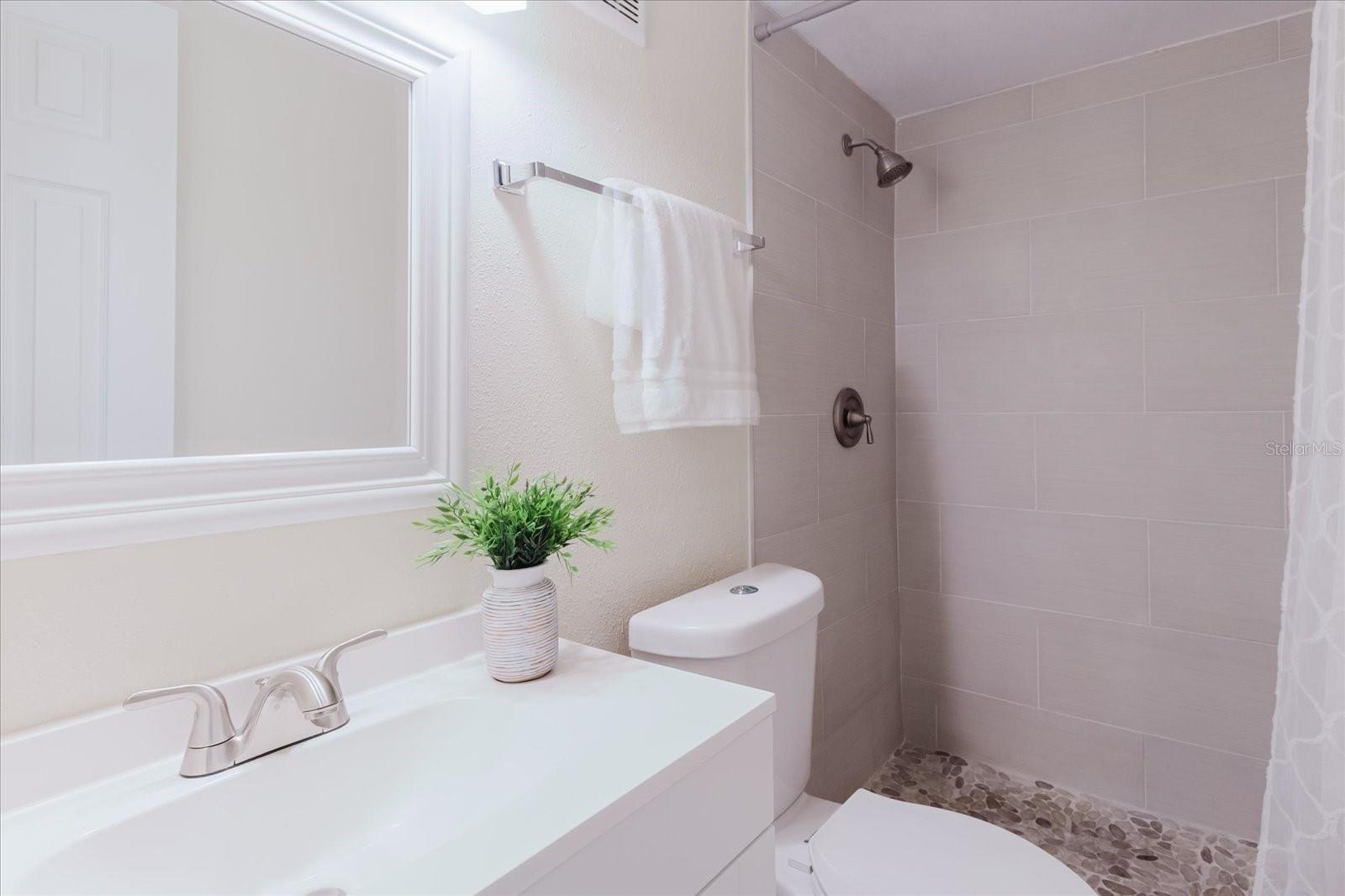 Lower Level Bathroom