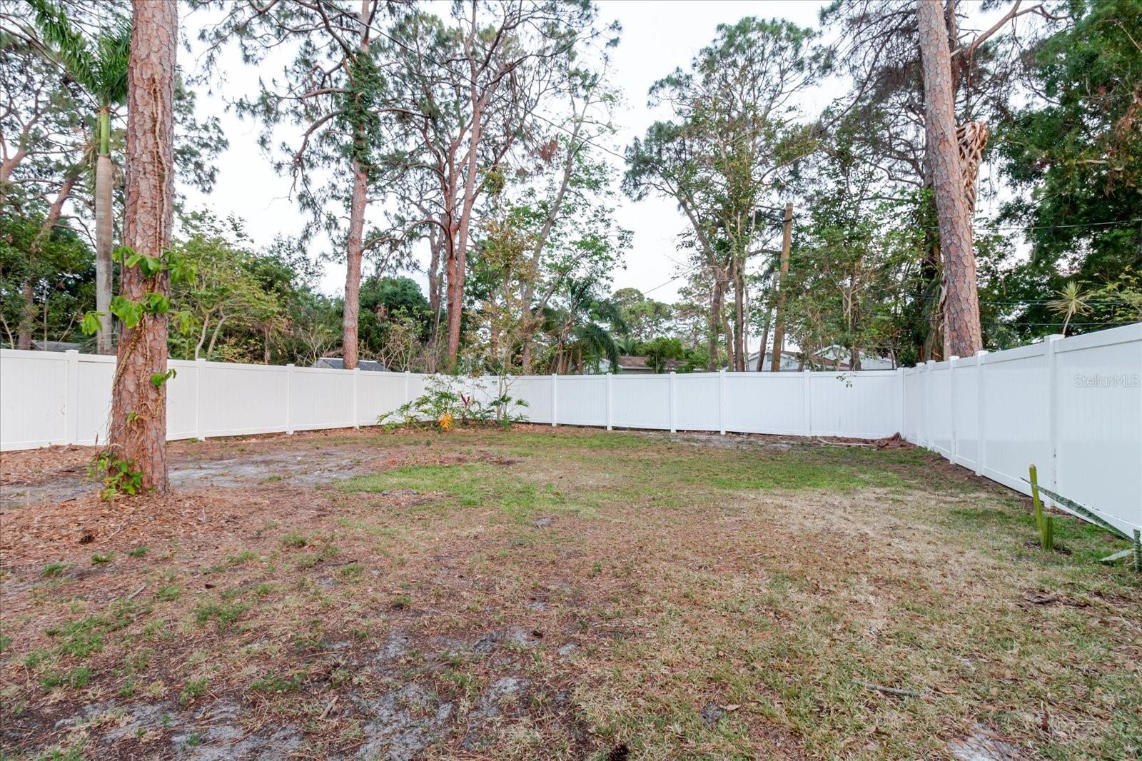 Backyard