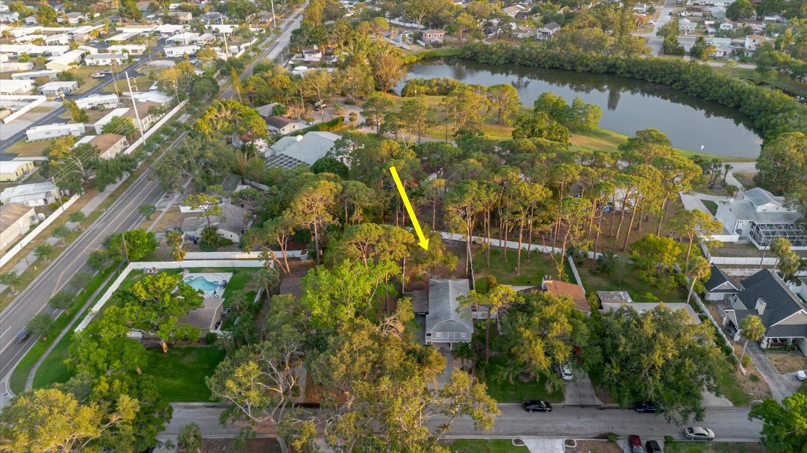 Ariel View