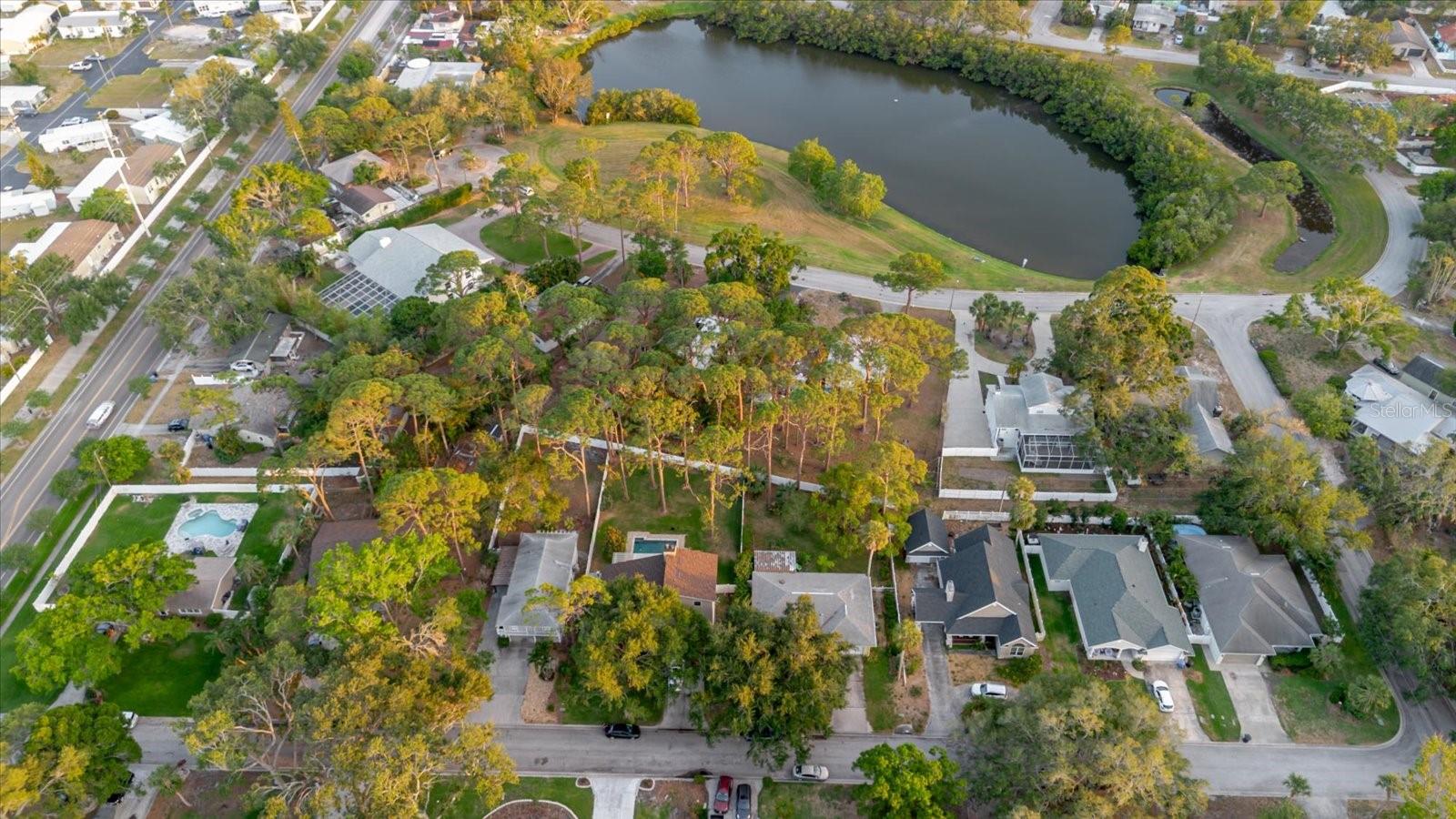 Ariel View