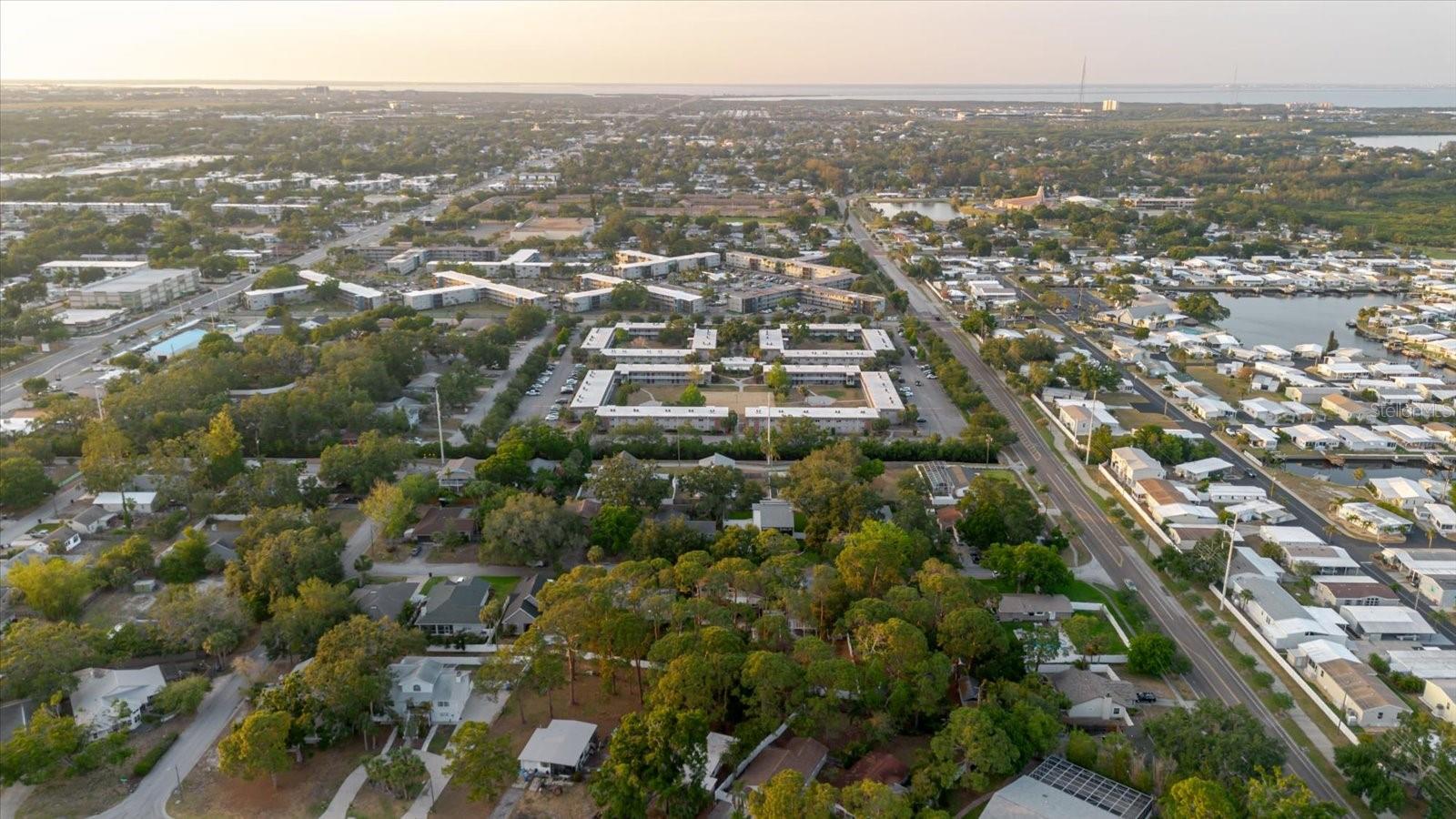 Ariel View