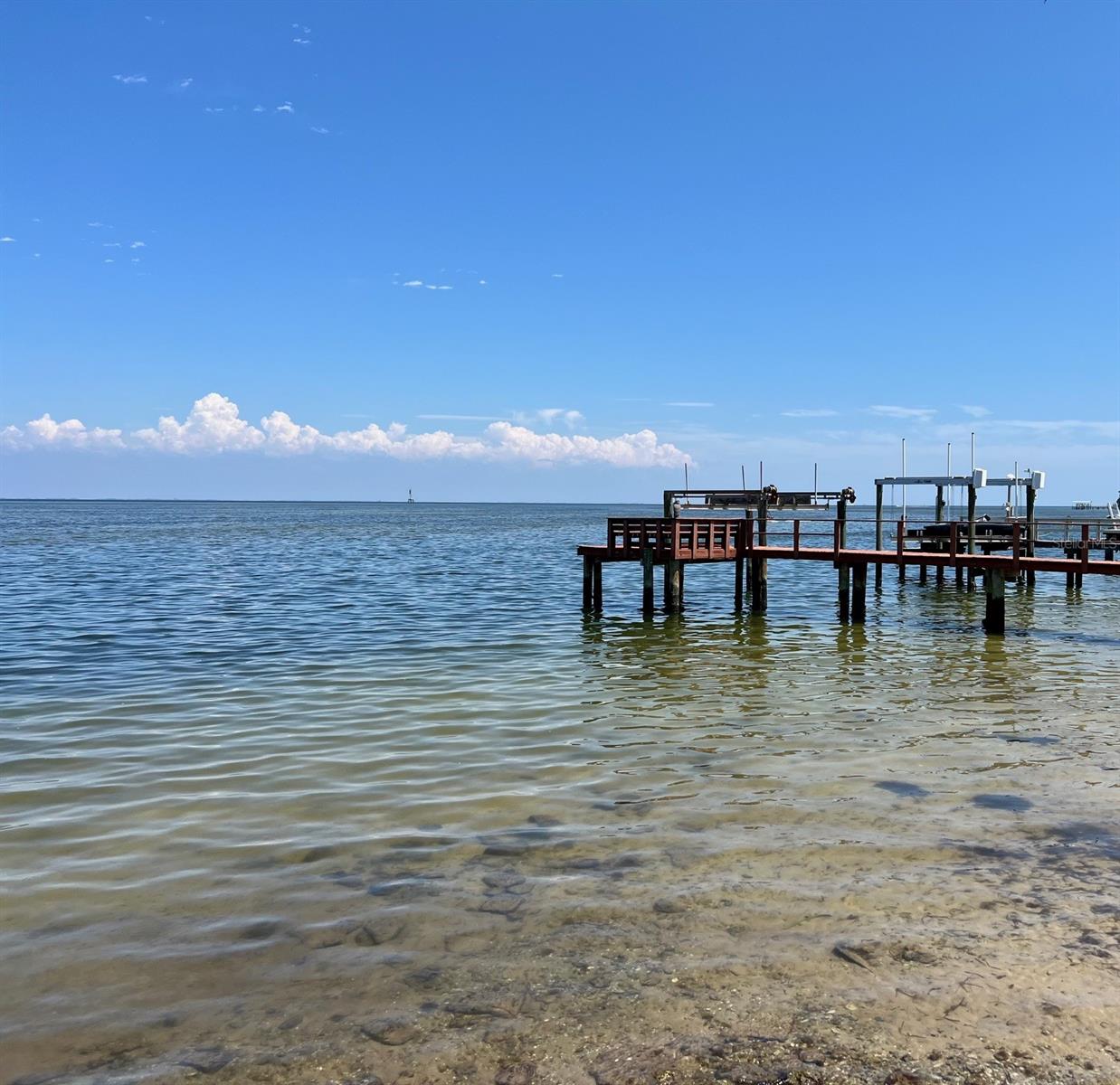 41. Vibrant Tampa Bay Waterfront Community