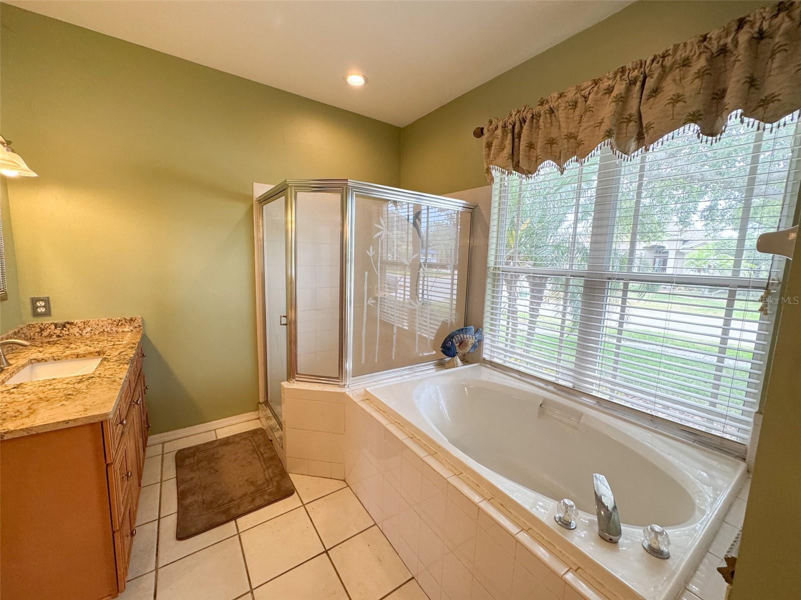 Primary bathroom