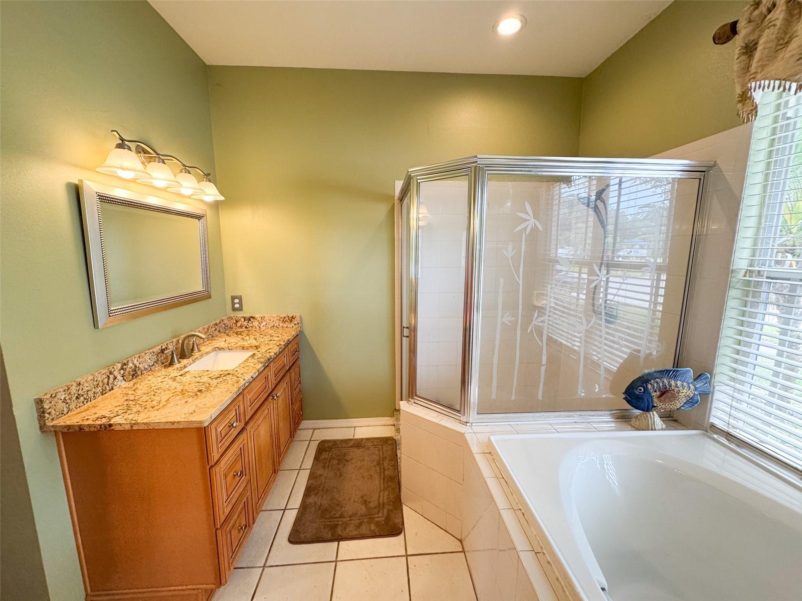 Primary bathroom