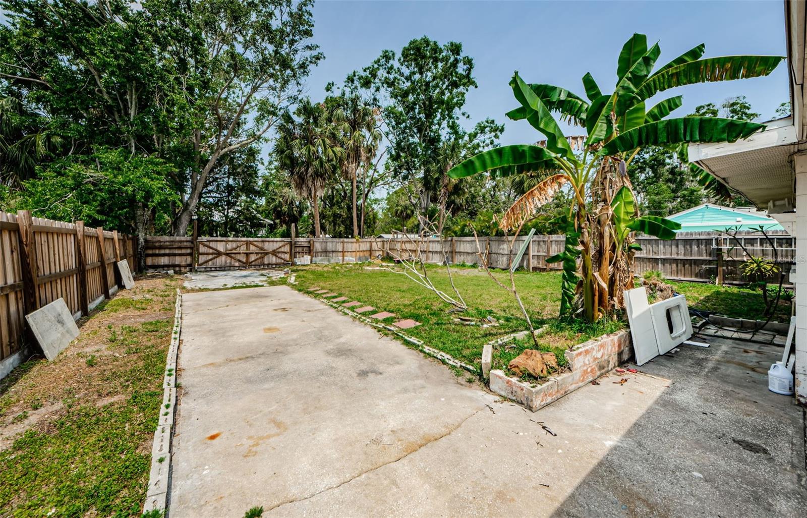 Backyard