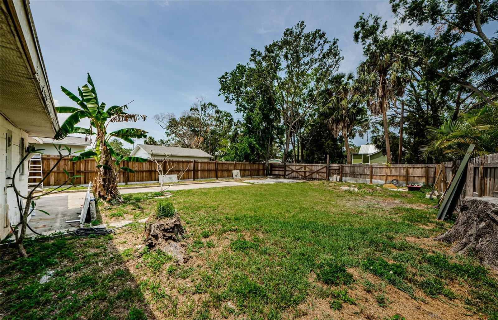 Backyard