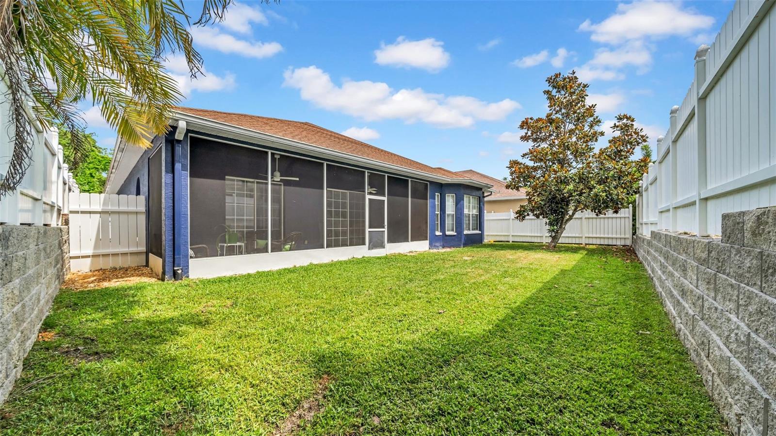 Backyard- blank canvas