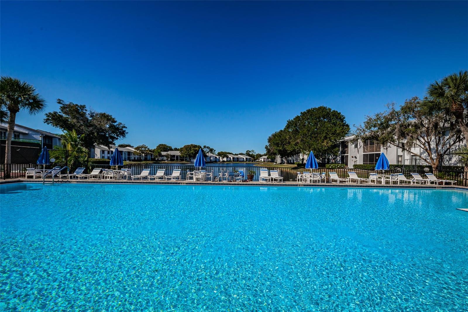 Community Pool