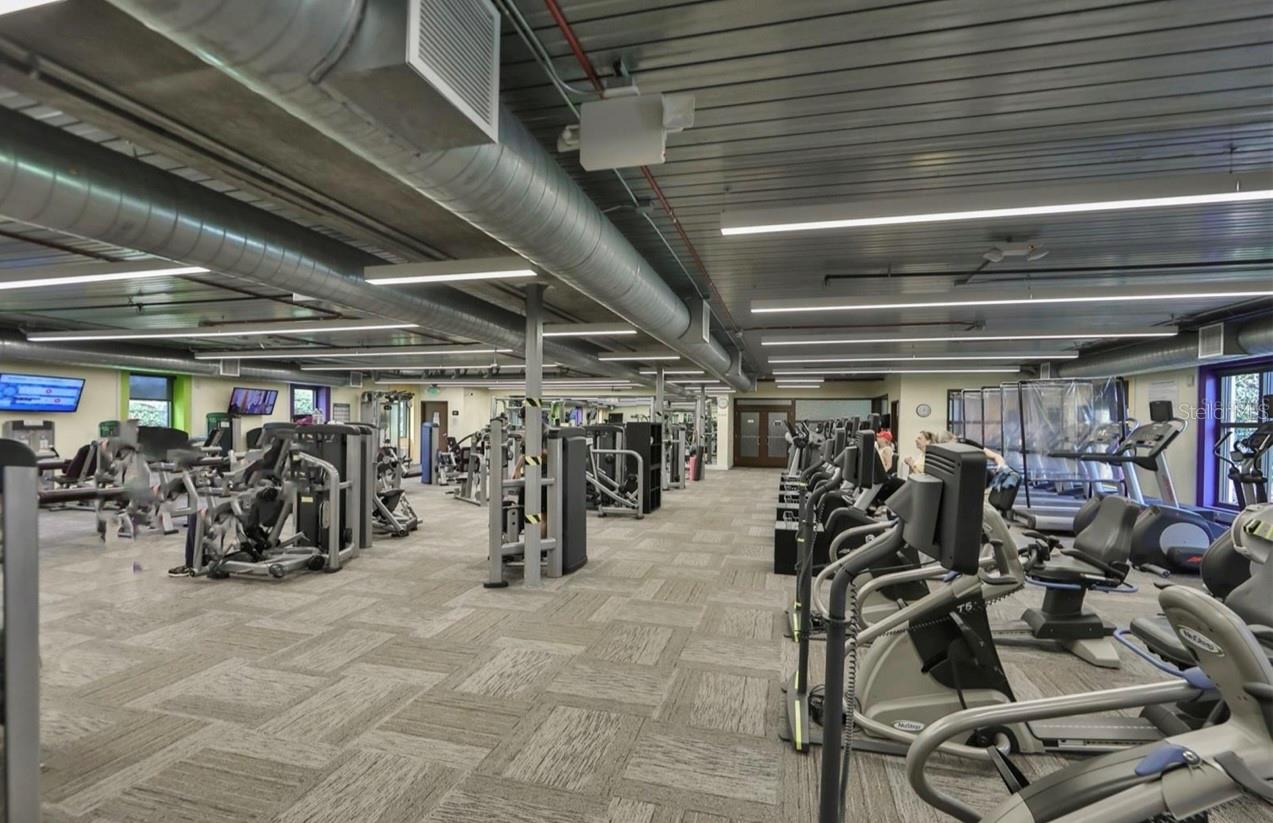 The gym
