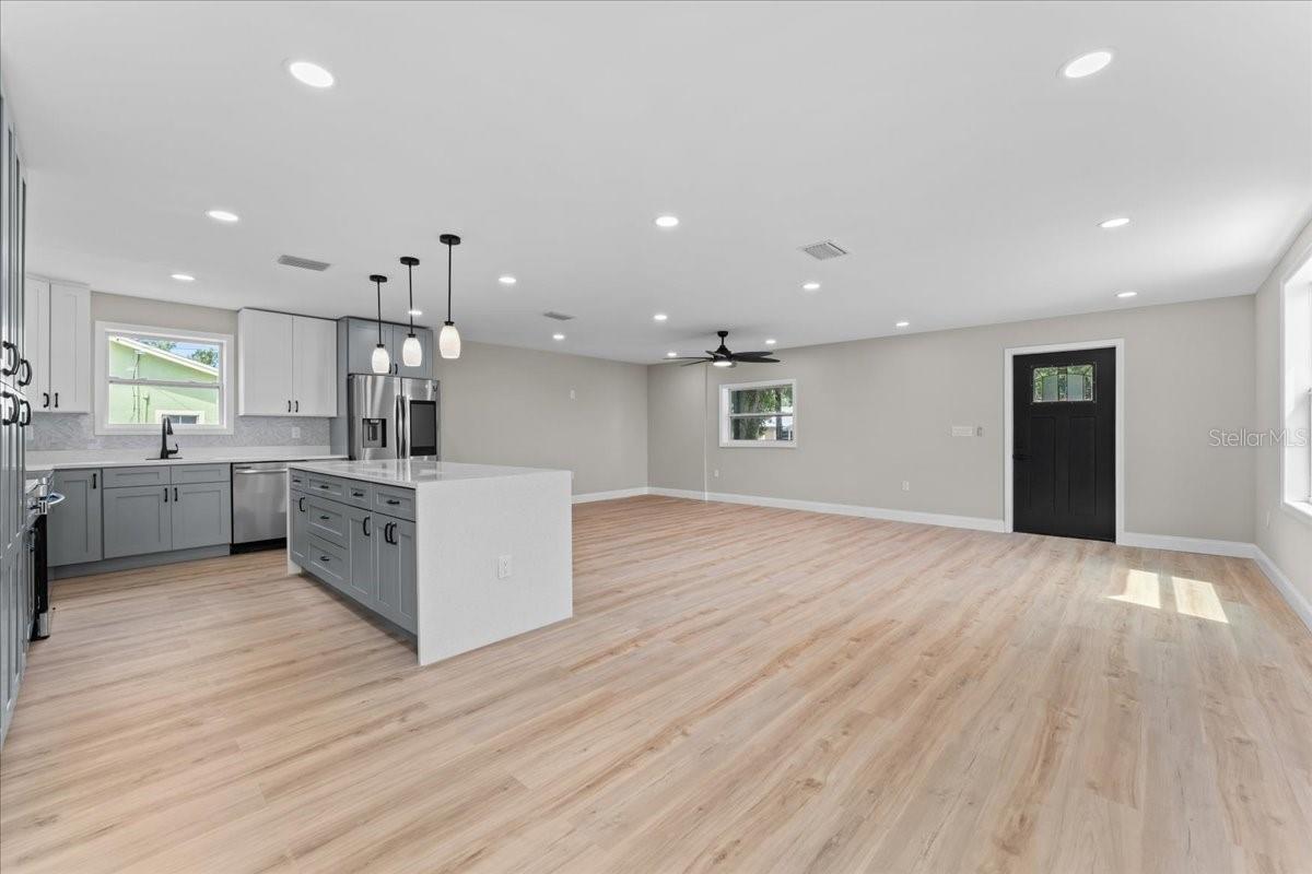 Living room and kitchen