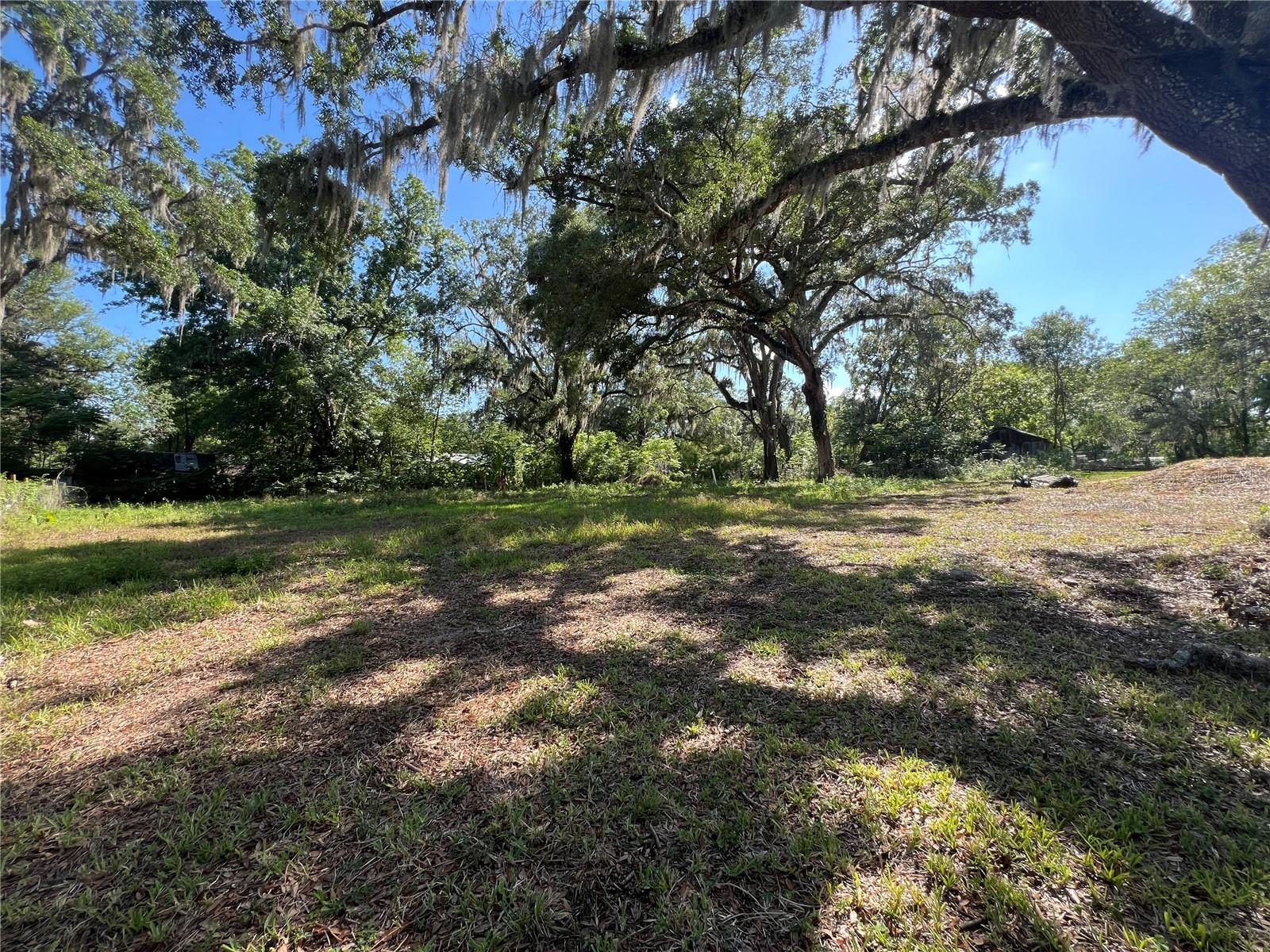 Big backyard.