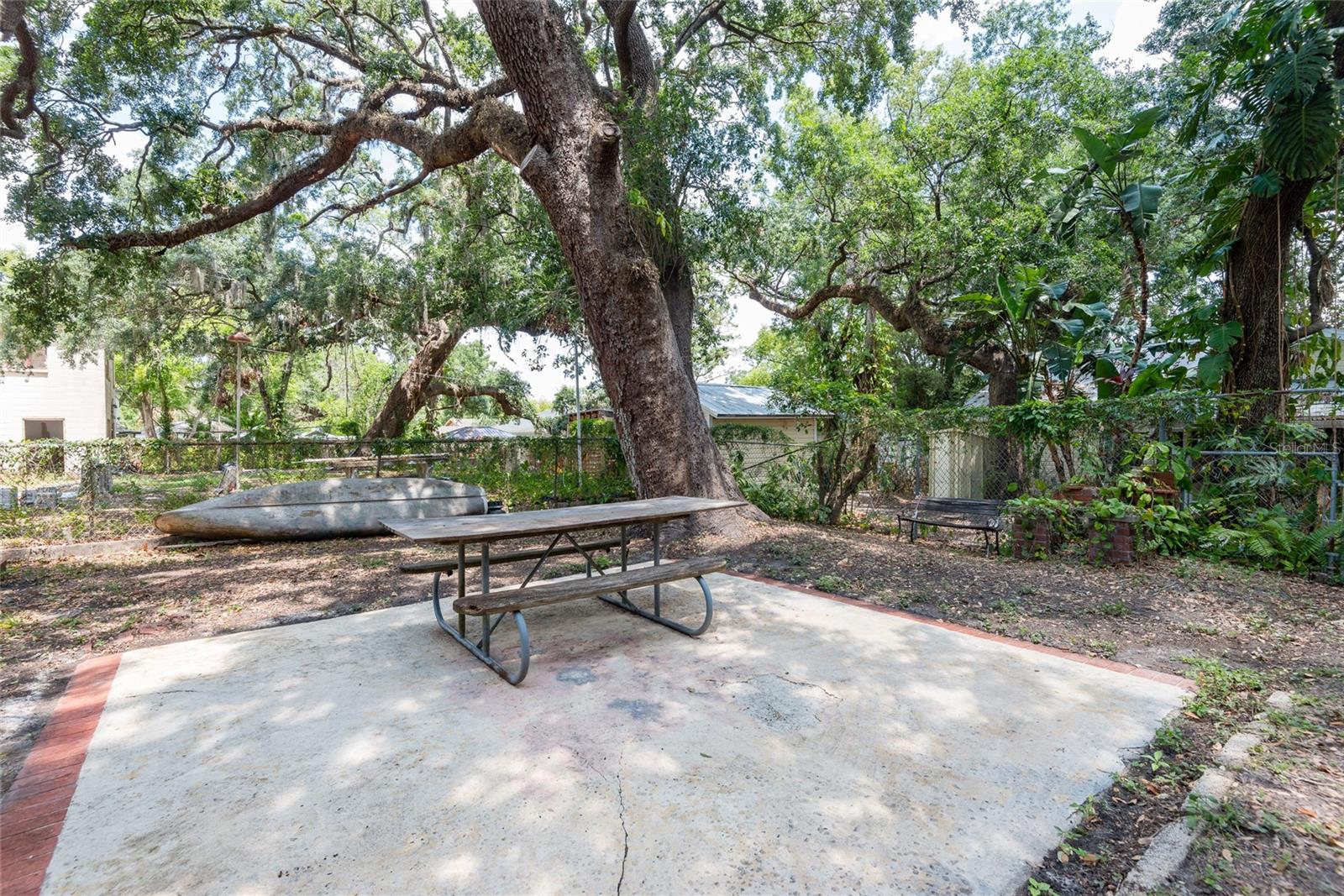 Back yard looks like a park