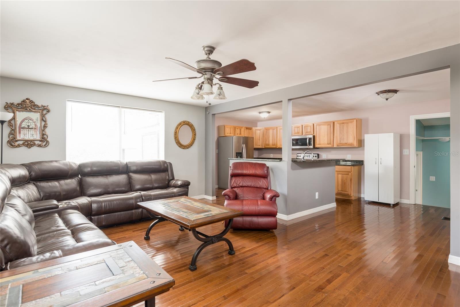 Living room open to kitchen