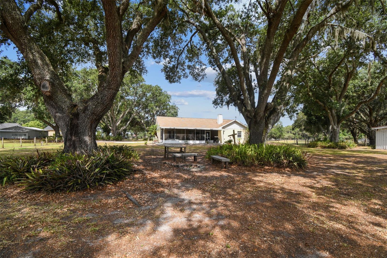 Beautiful shaded back yard
