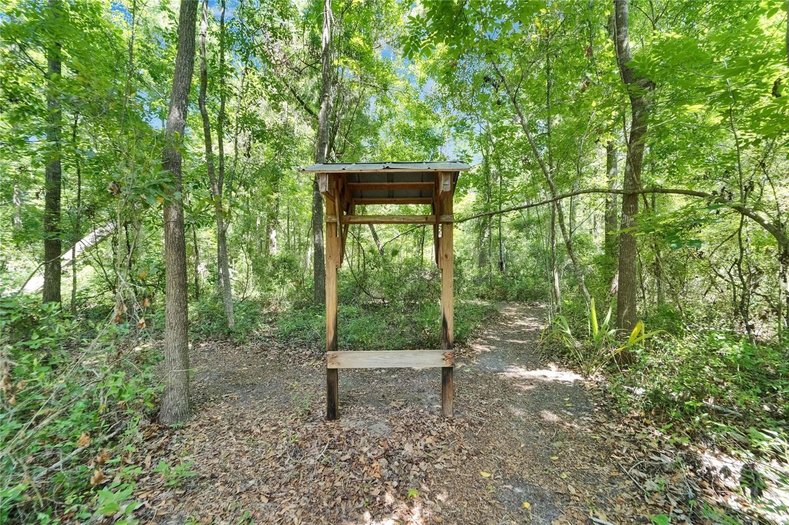Deer Feeder in the trails behind the Barn/Workhop