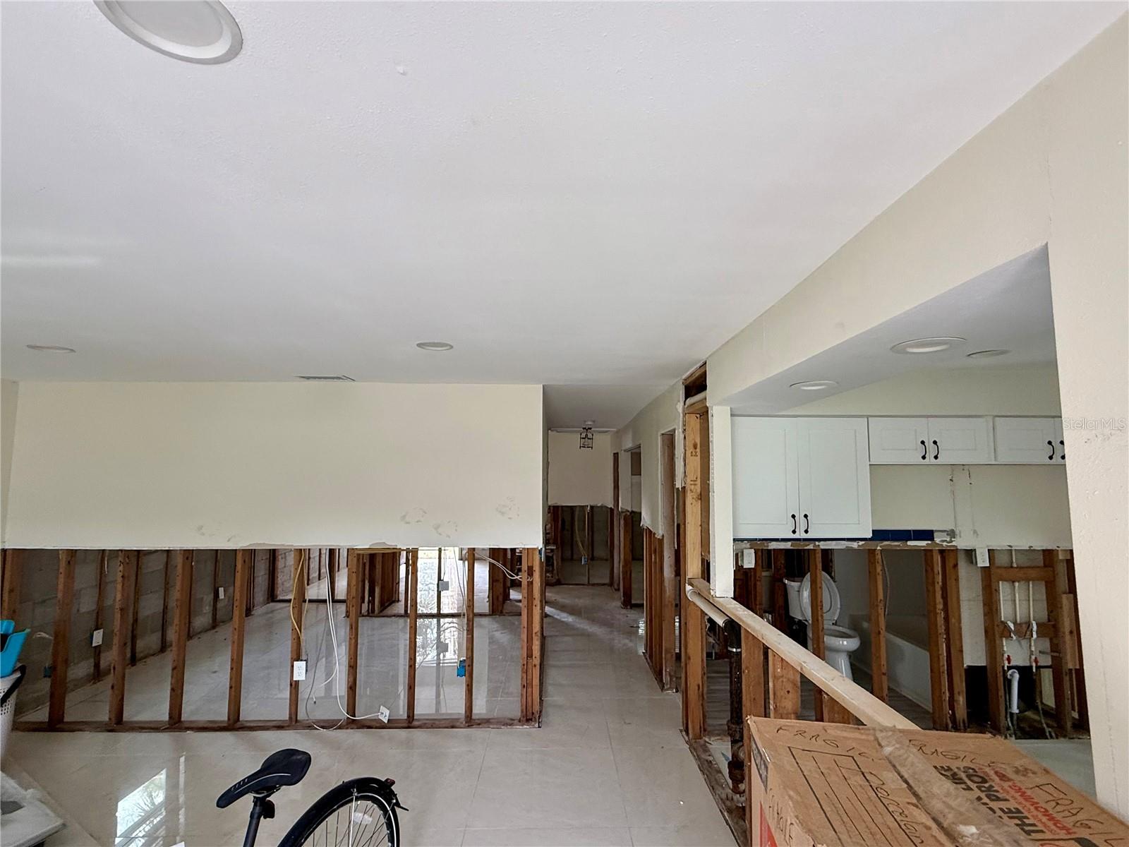 10. Living Room and Kitchen