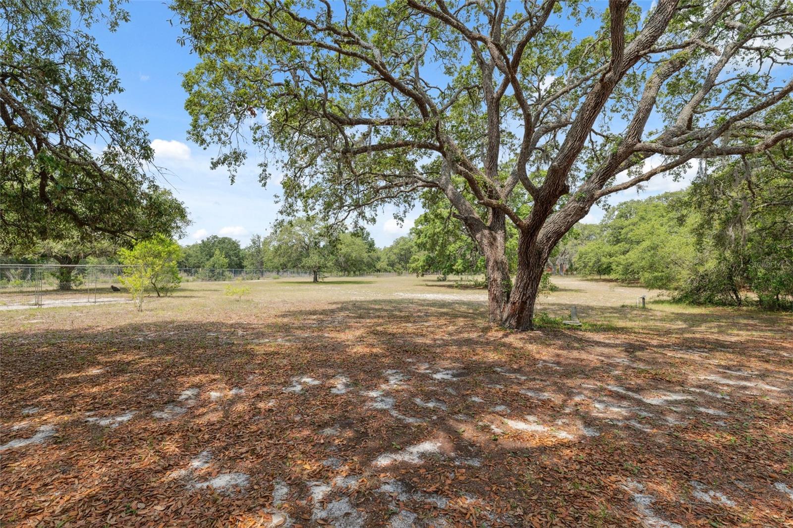 Spacious Backyard