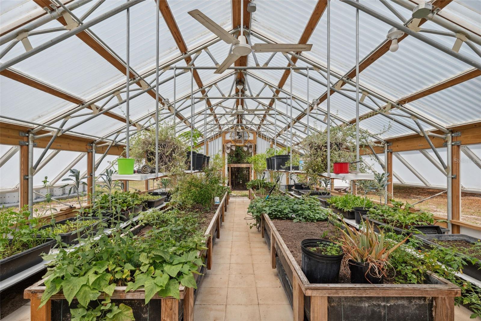 Greenhouse