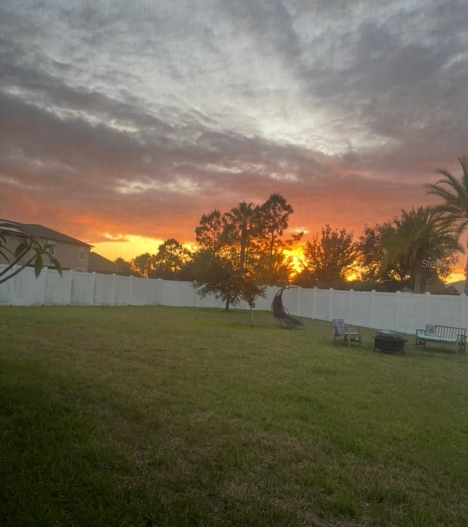 Enjoy the Florida sky