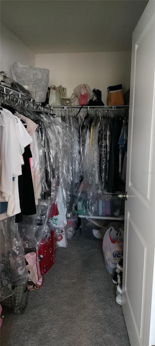 BR Walk in Closet
