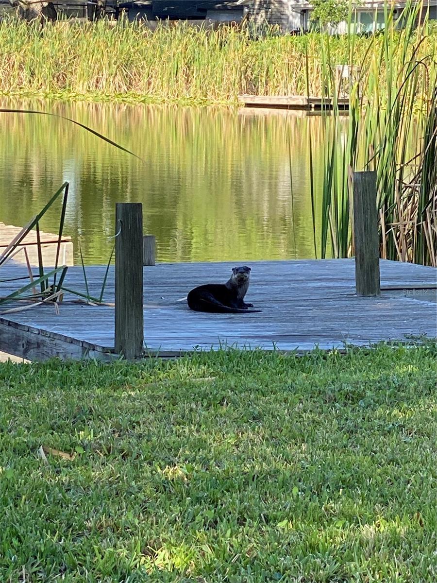 Enjoy all the different sunsets overlooking the lake from your backyard