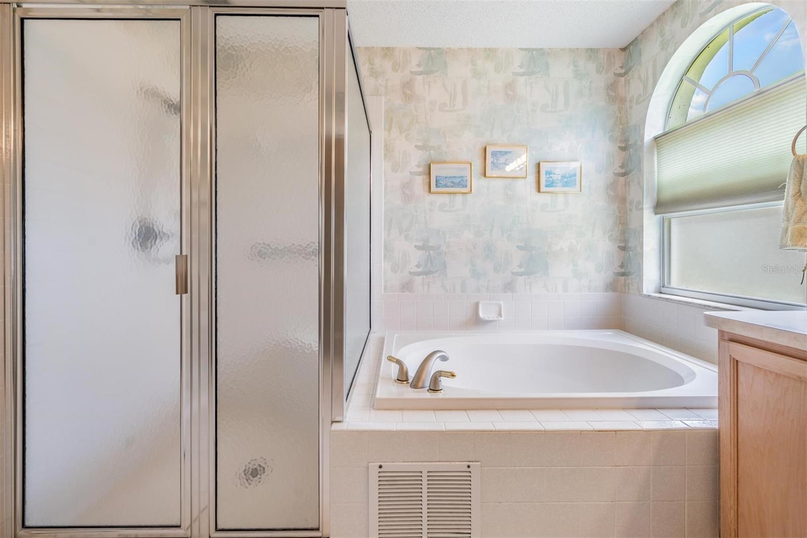 Step in shower and whirlpool tub