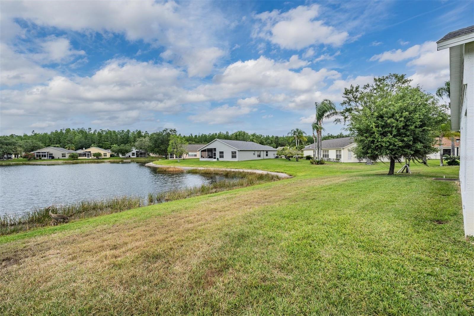 Pond views