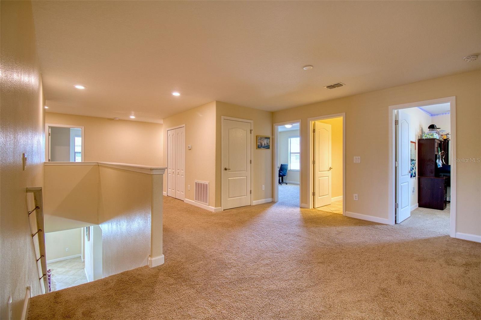 Loft - bonus room