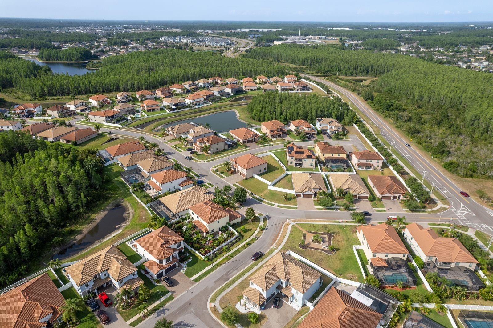 W7875281