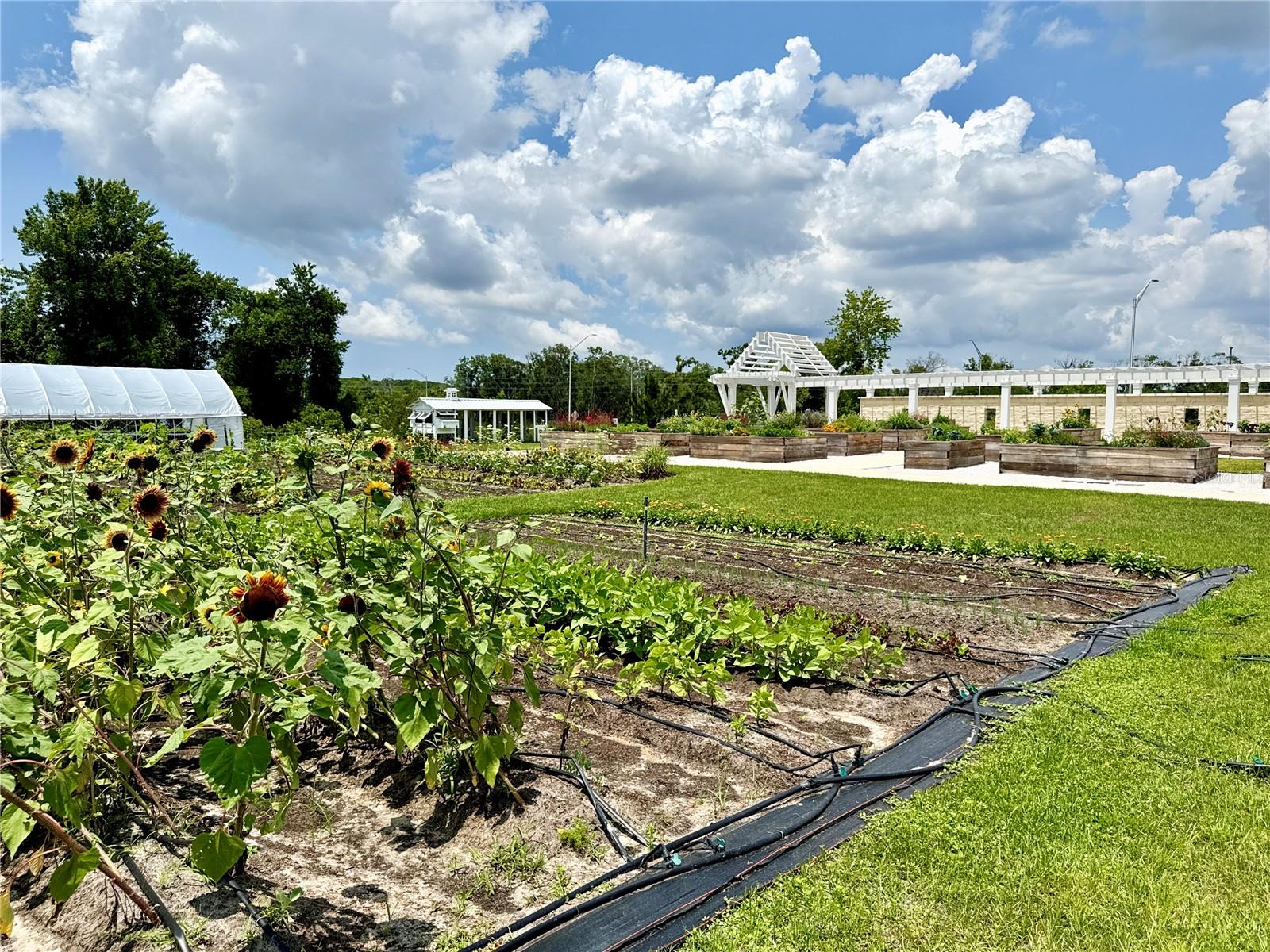 G5096734
