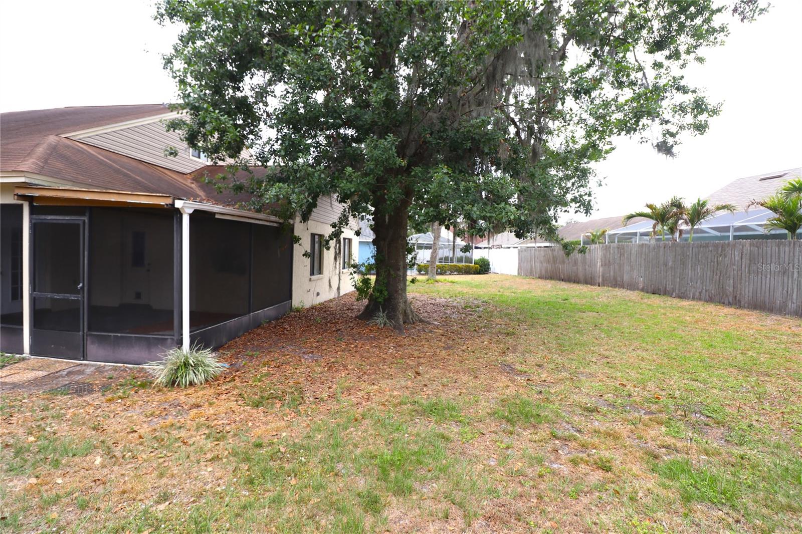 Backyard