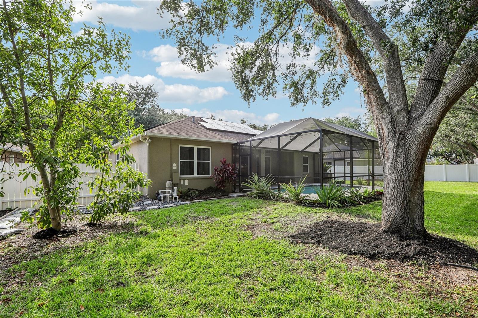 Massive backyard with fruit trees