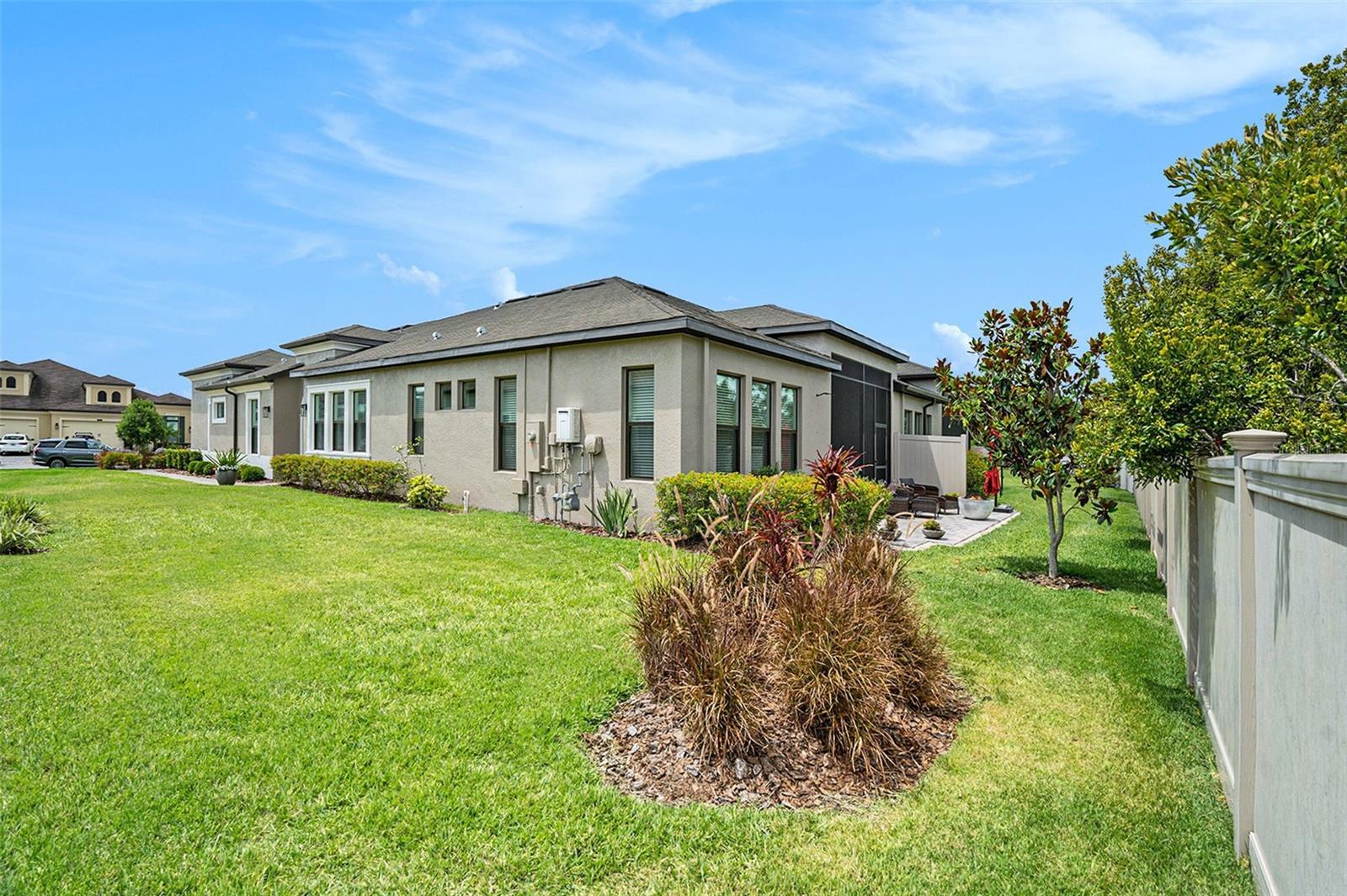Side view of the backyard
