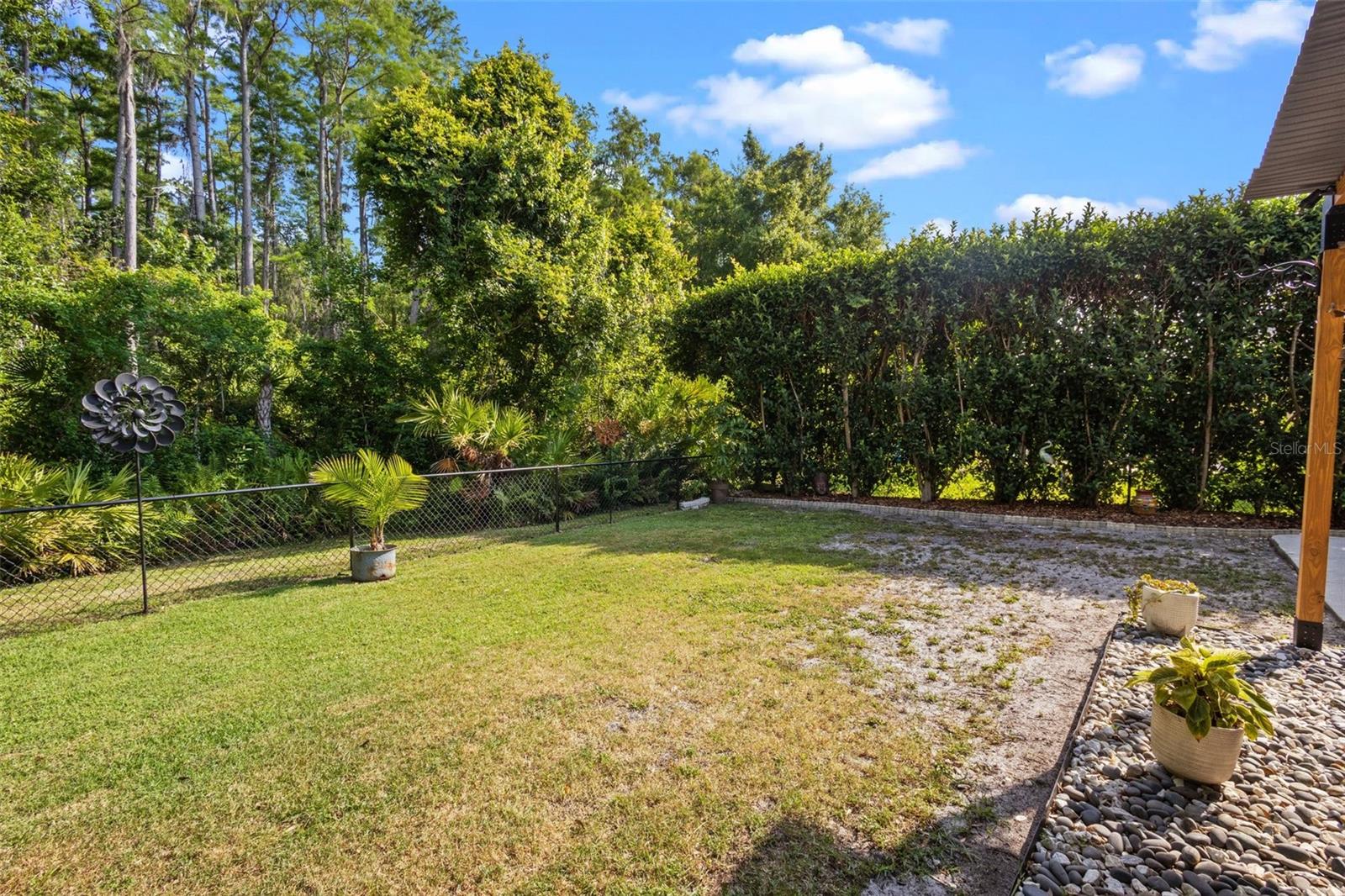 Backyard - fenced-in, corner lot