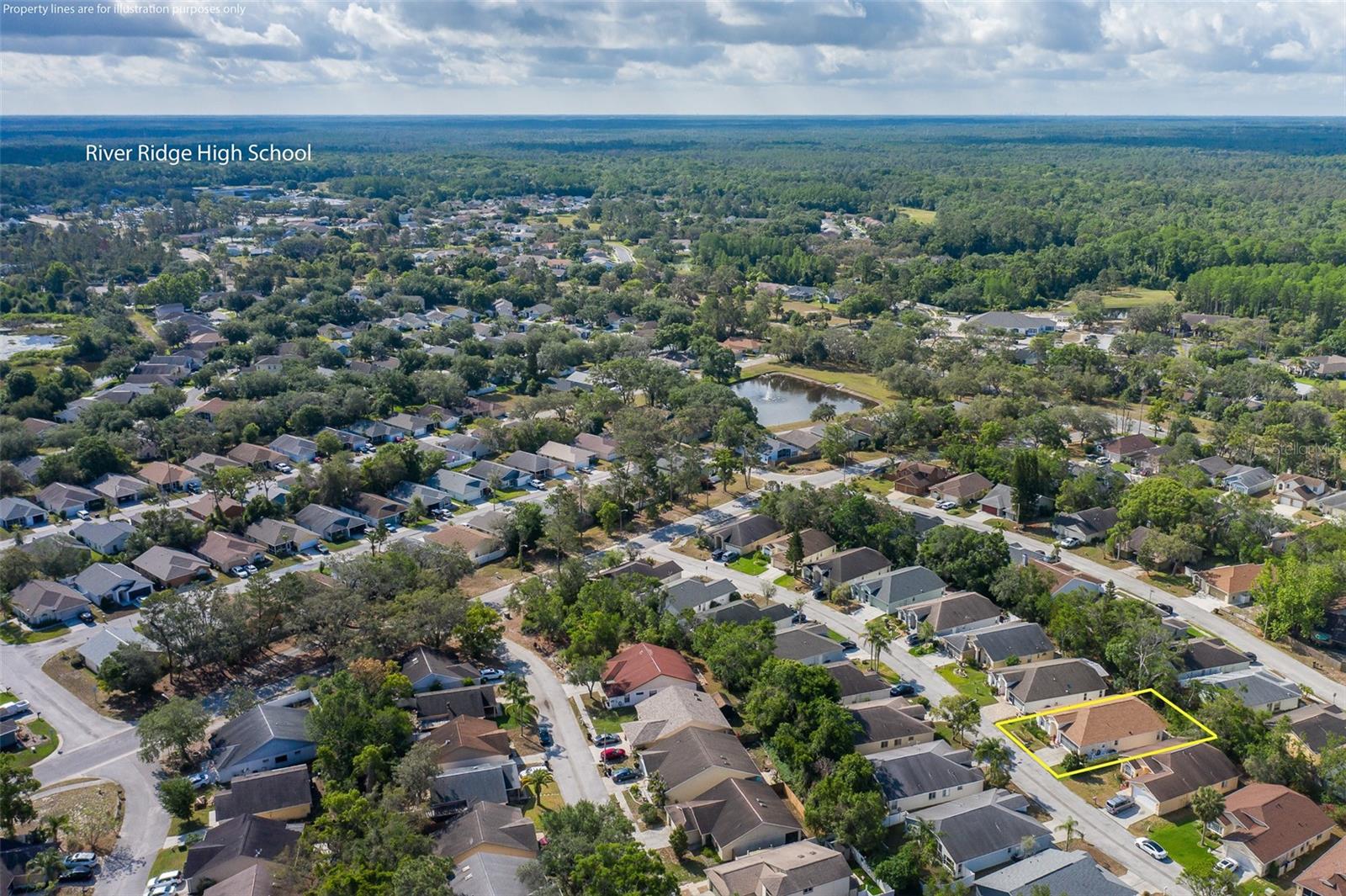 W7875296