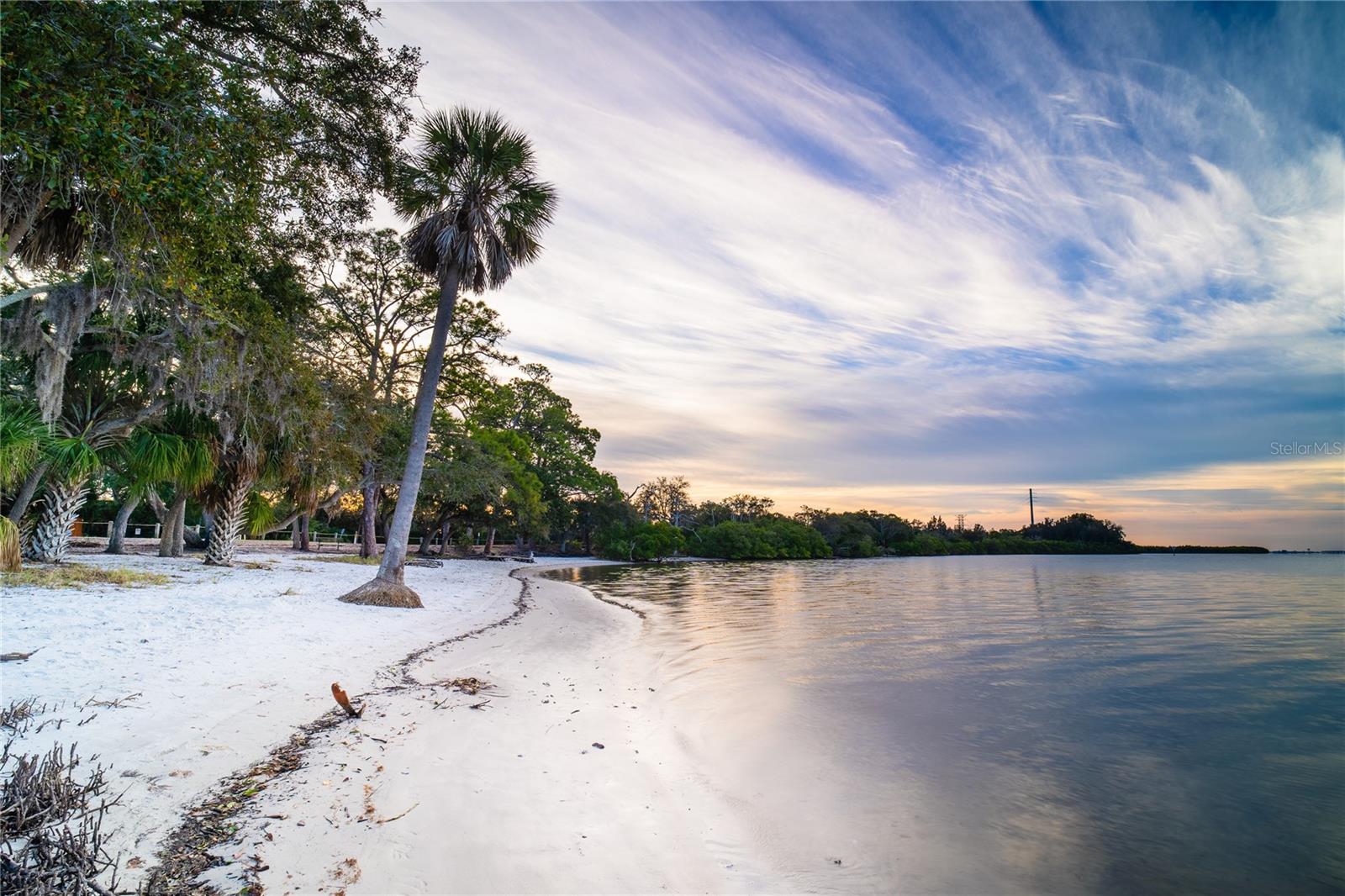 Mobbly Bayou Preserve