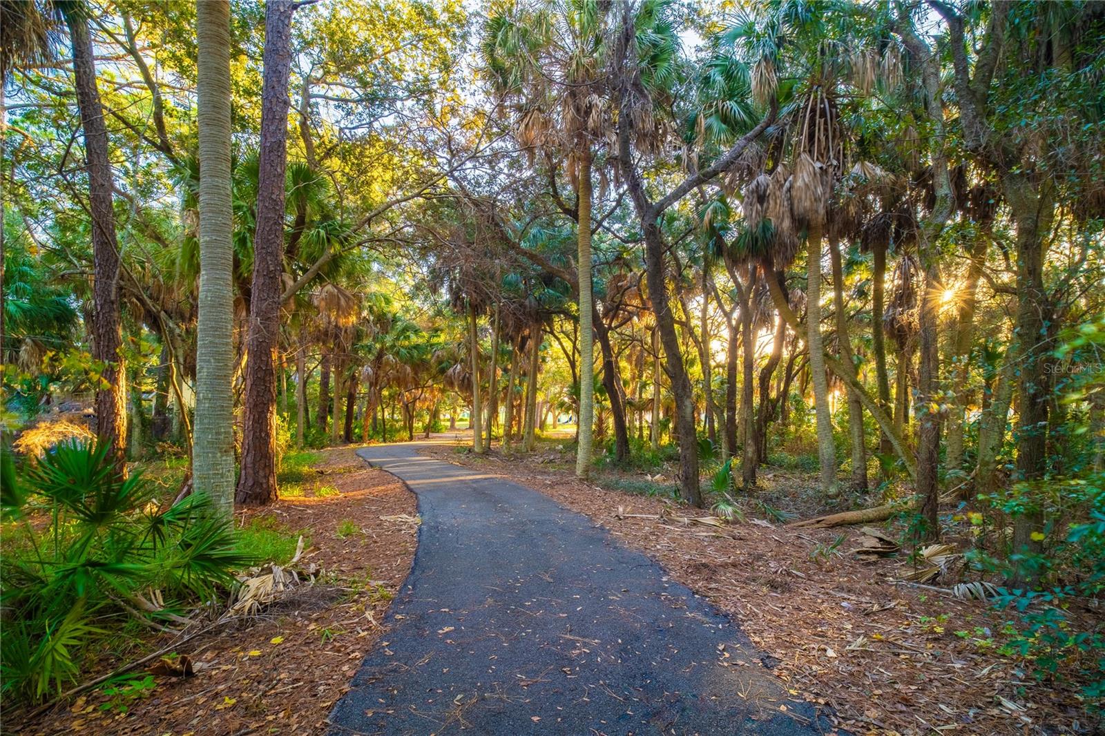Walking path at Bicentennial Park has shaded areas through the woods.