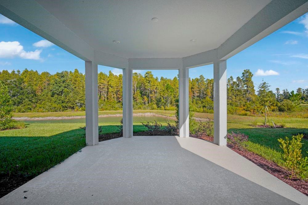 29837 Imperati ~ Ready Now