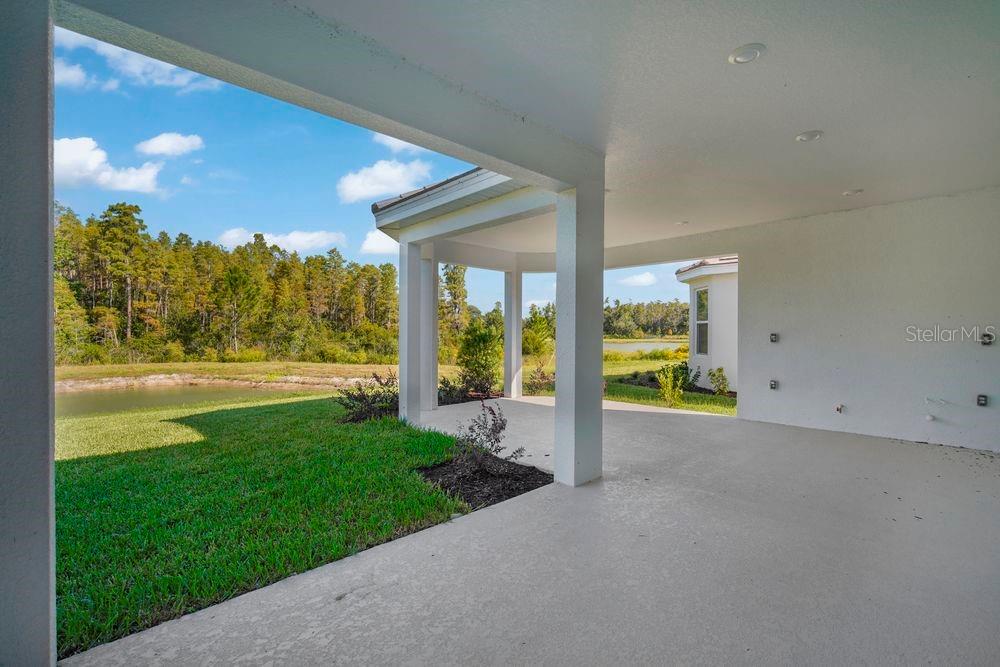 29837 Imperati ~ Ready Now